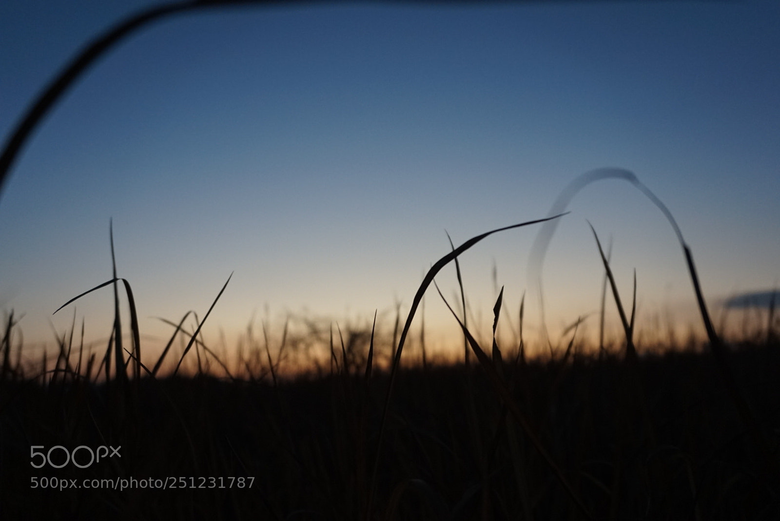 Sony Alpha a5000 (ILCE 5000) sample photo. Untitled photography
