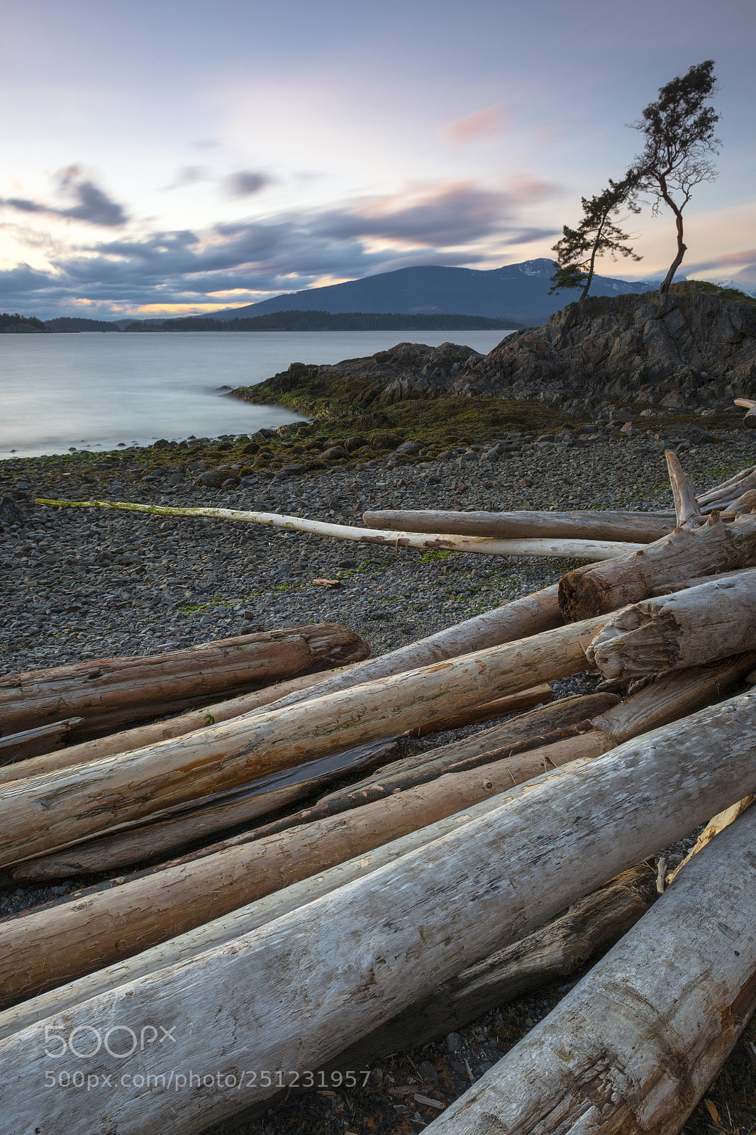 Nikon D850 sample photo. Bowen island love photography