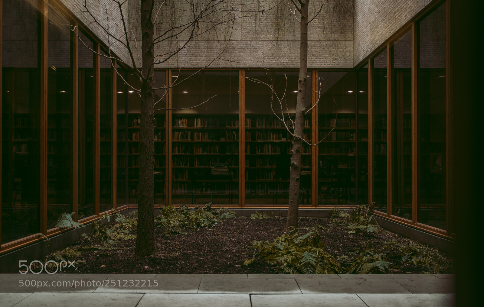 Fujifilm X100F sample photo. The barnes foundation photography