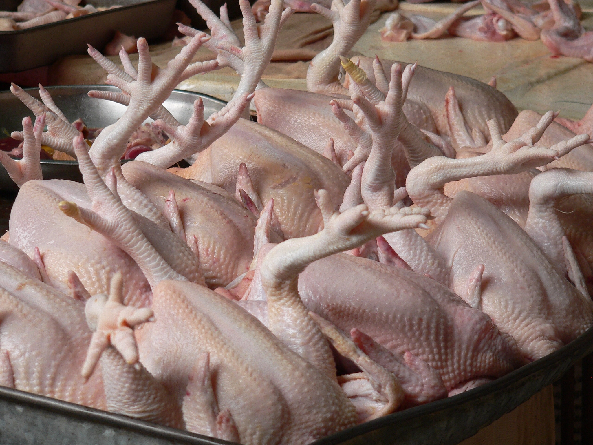 Panasonic DMC-FZ20 sample photo. Ready to eat....fresh killed at wet market in malaysia photography