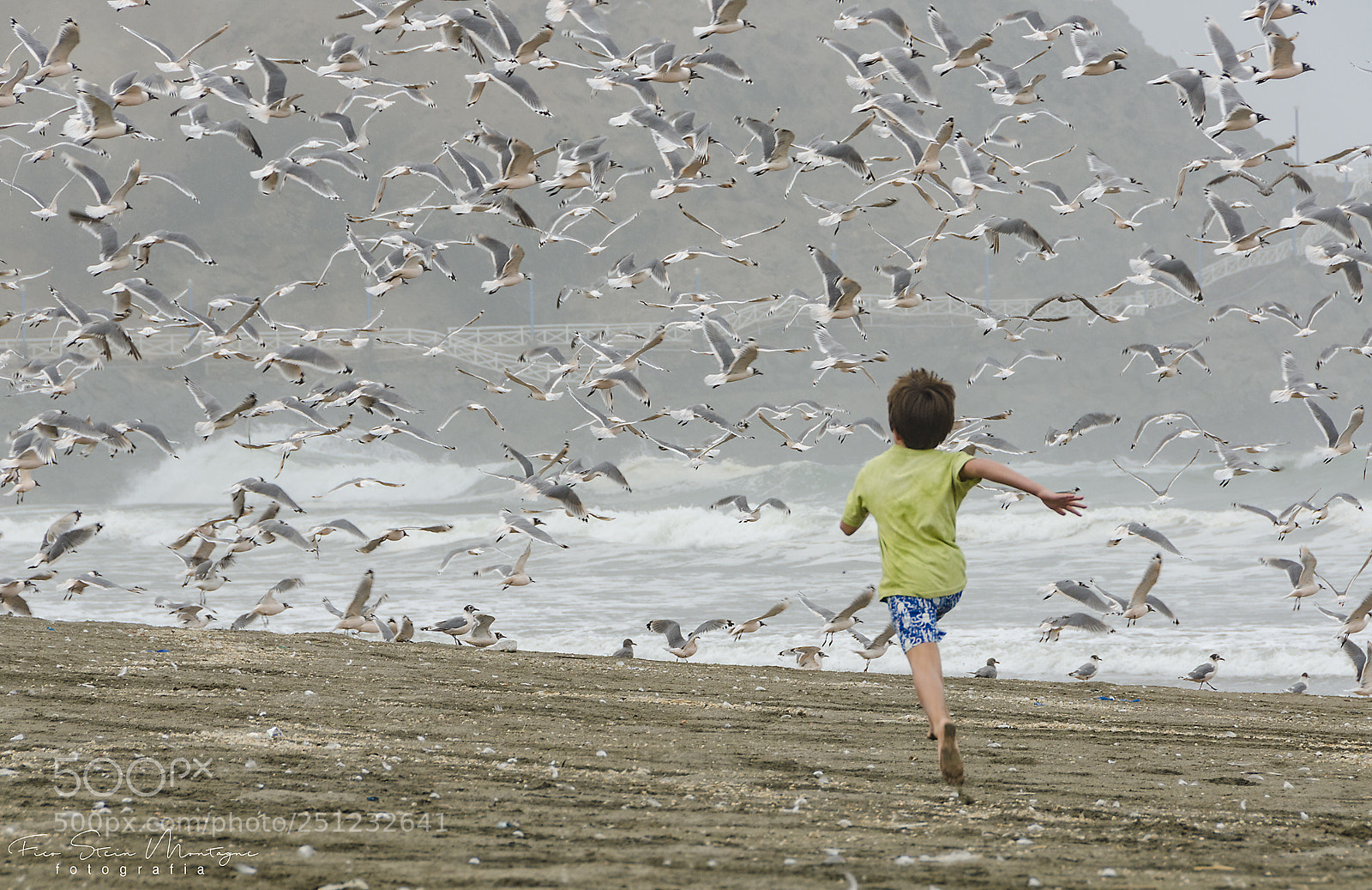 Nikon D7000 sample photo. Freedom photography