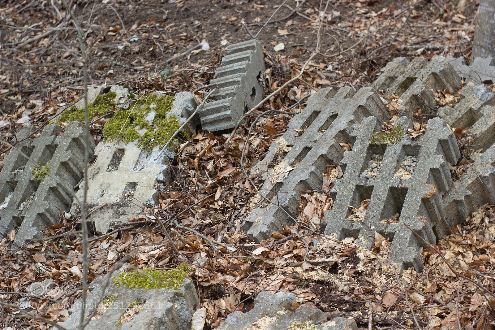 Canon EOS 550D (EOS Rebel T2i / EOS Kiss X4) sample photo. Dead hashtag photography
