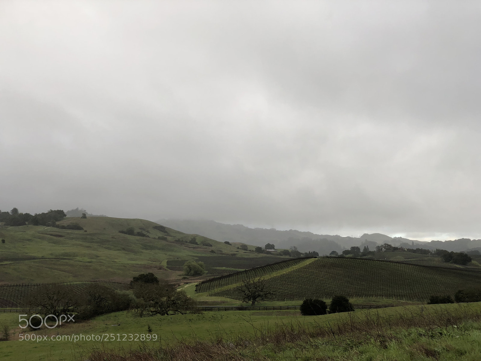 Apple iPhone X sample photo. Sonoma county  photography