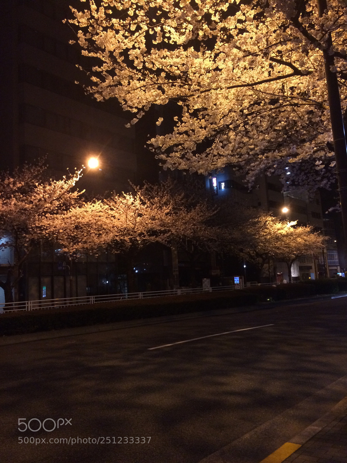 Apple iPhone 5s sample photo. Untitled photography