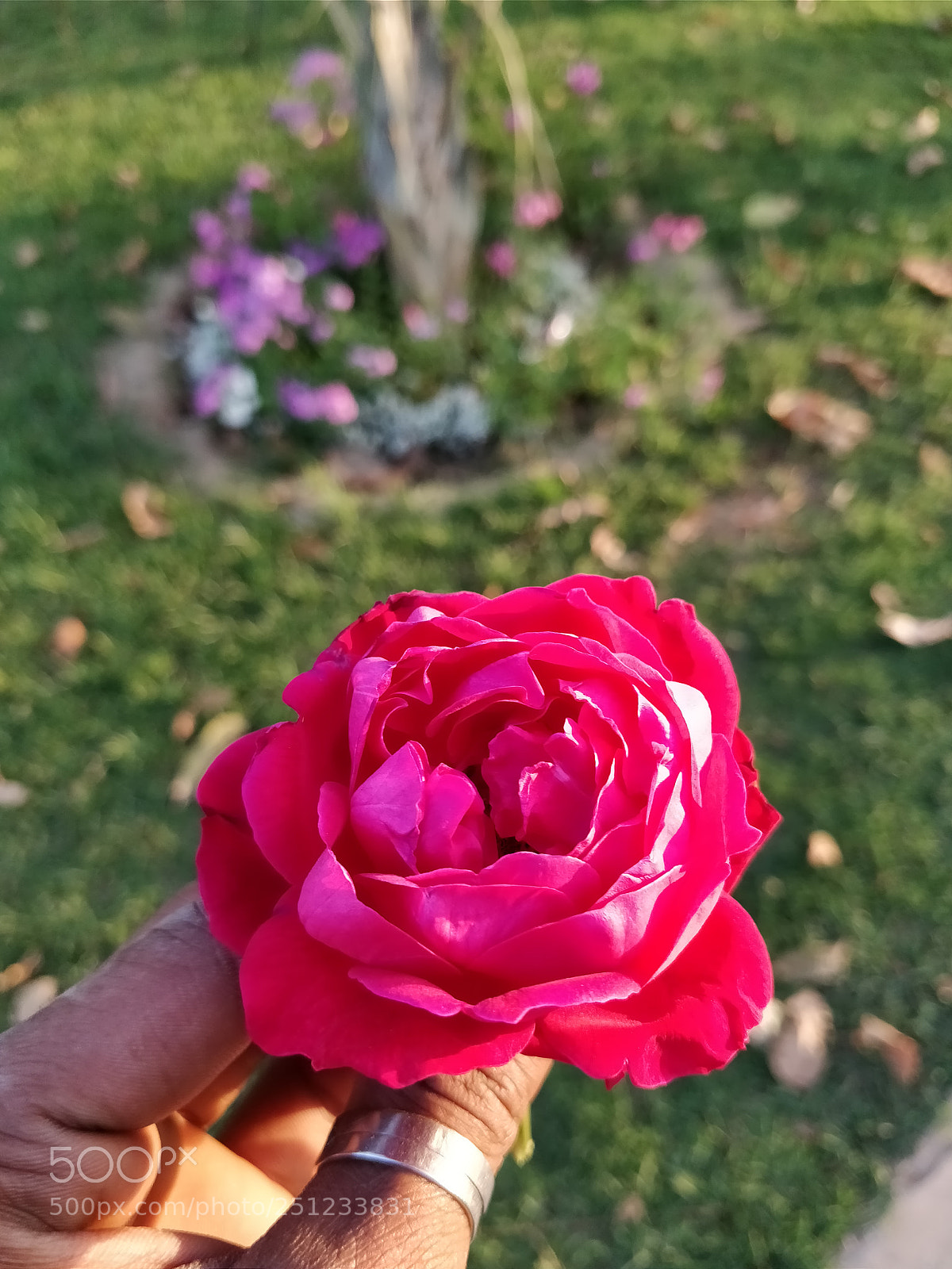 OnePlus 5T sample photo. Untitled photography