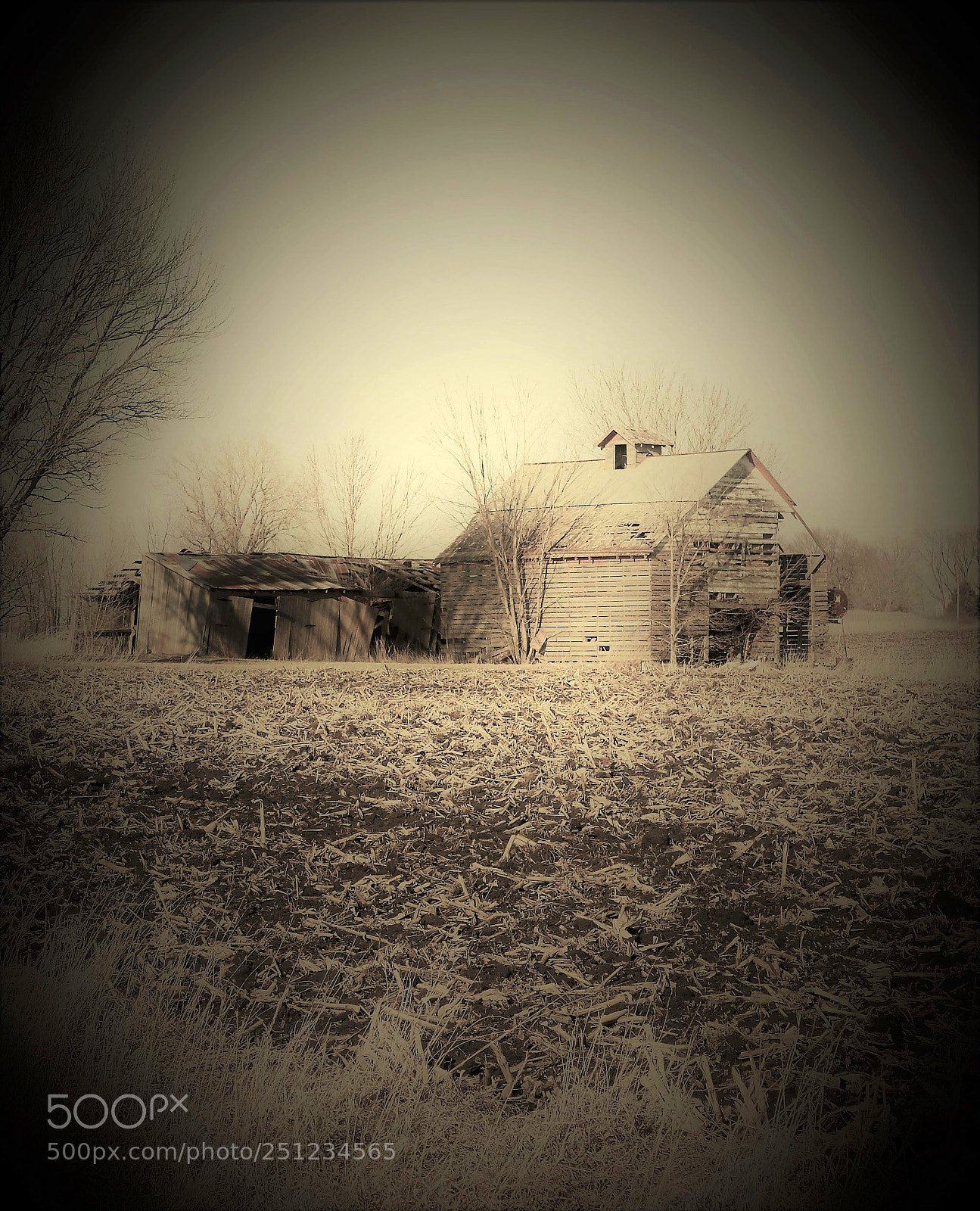 Canon EOS 500D (EOS Rebel T1i / EOS Kiss X3) sample photo. Vintage landscapes and trees photography