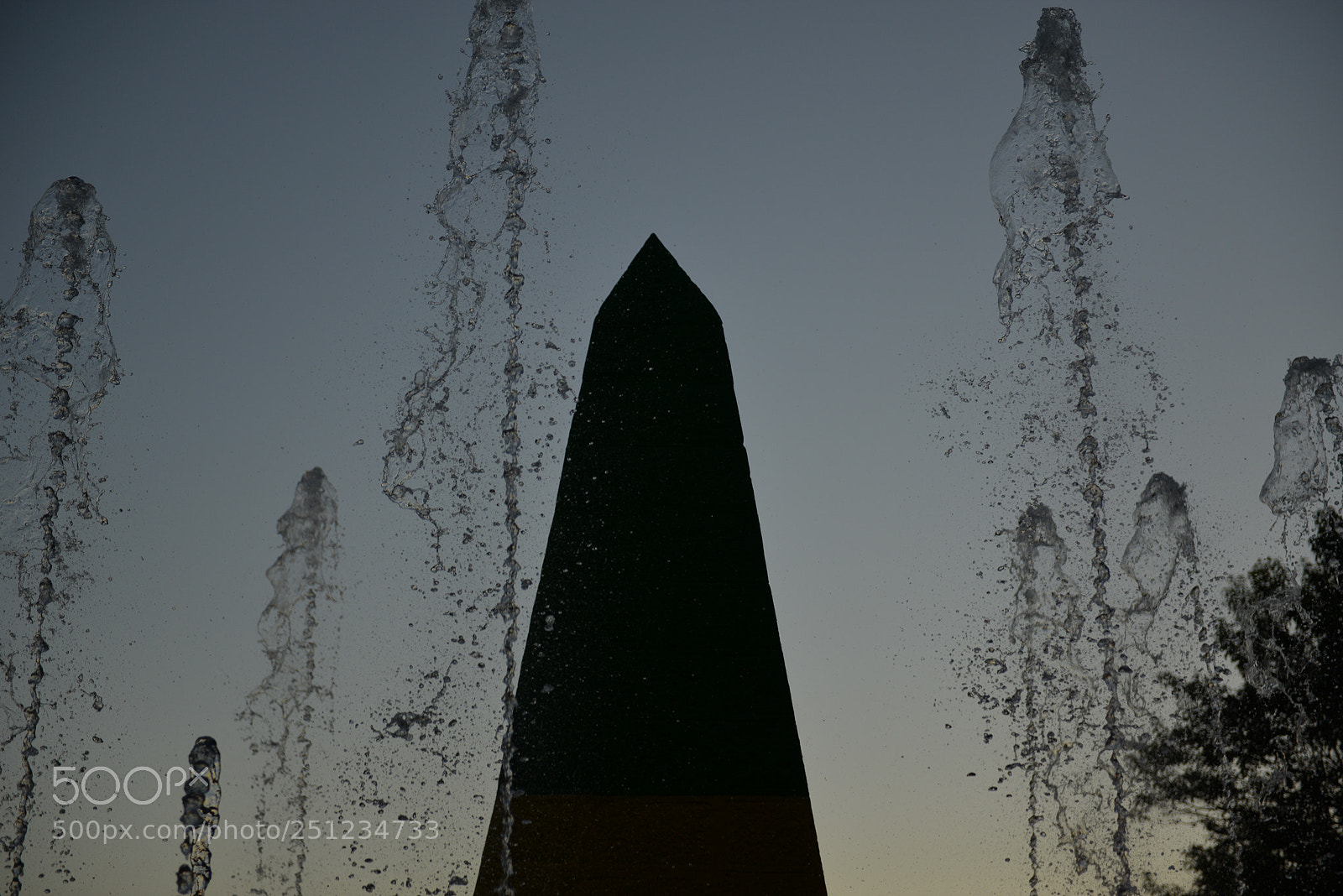 Nikon D610 sample photo. Untitled photography