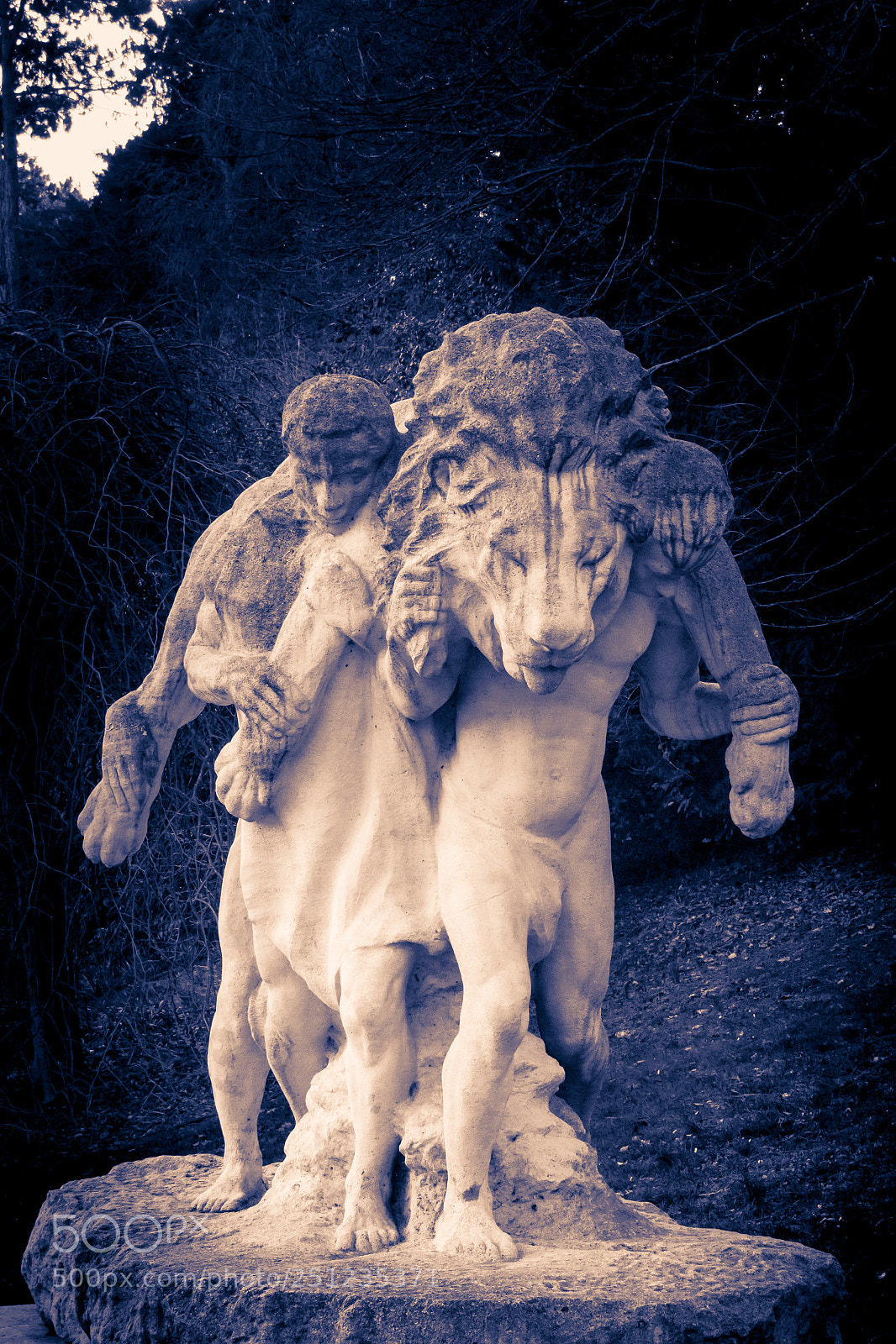 Canon EOS 600D (Rebel EOS T3i / EOS Kiss X5) sample photo. La mort du lion photography