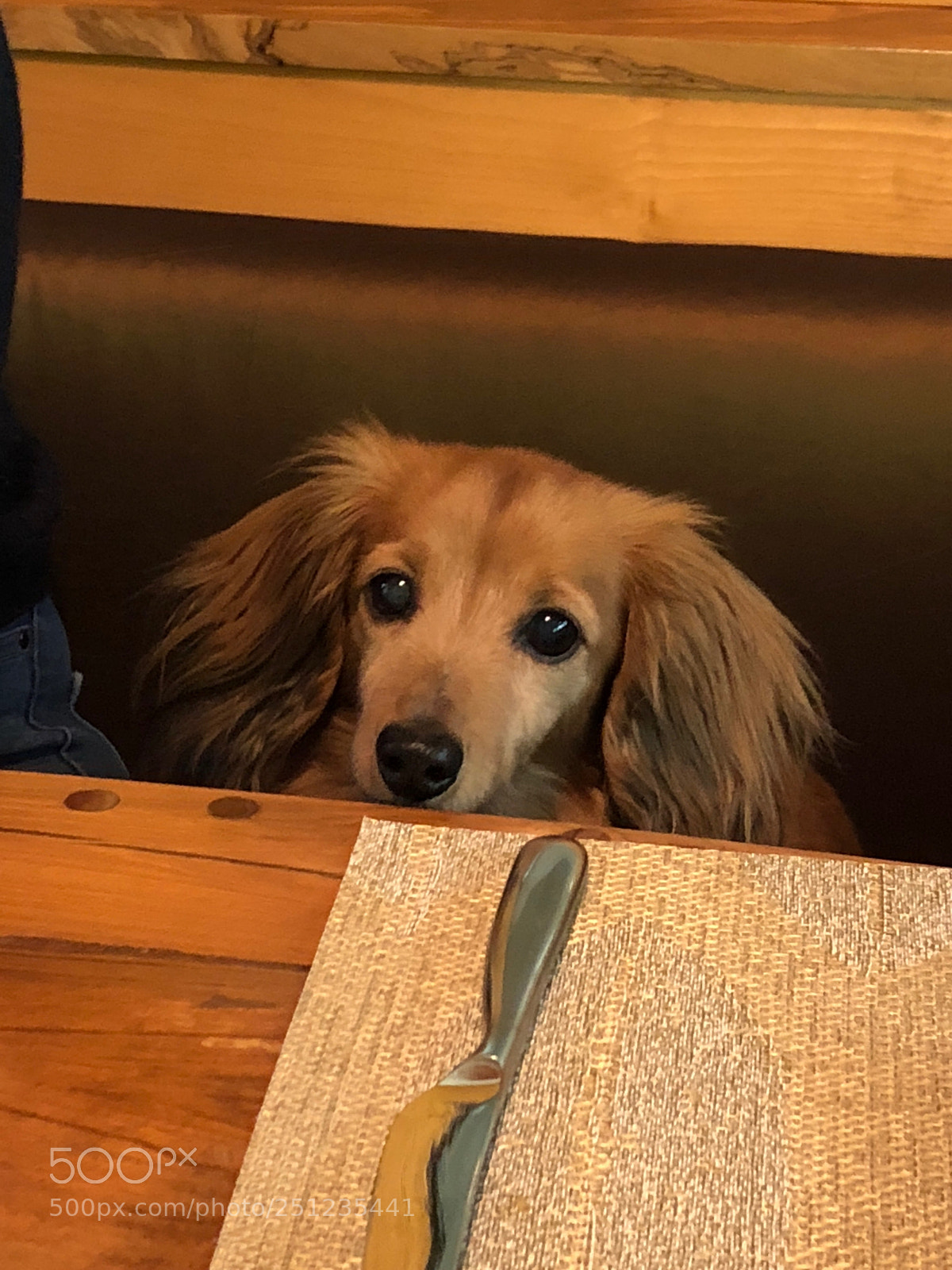 Apple iPhone 8 Plus sample photo. When is dinner? photography