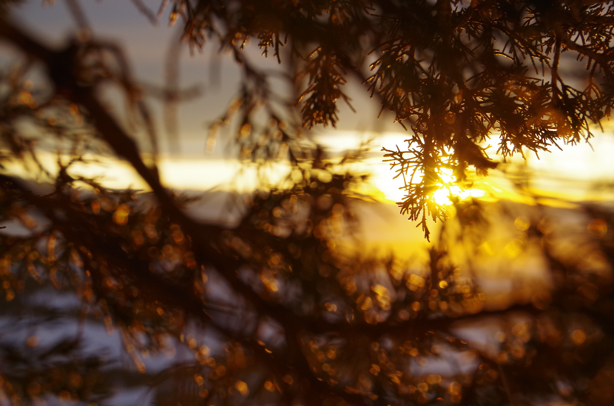 Pentax K-50 sample photo. Change your view photography