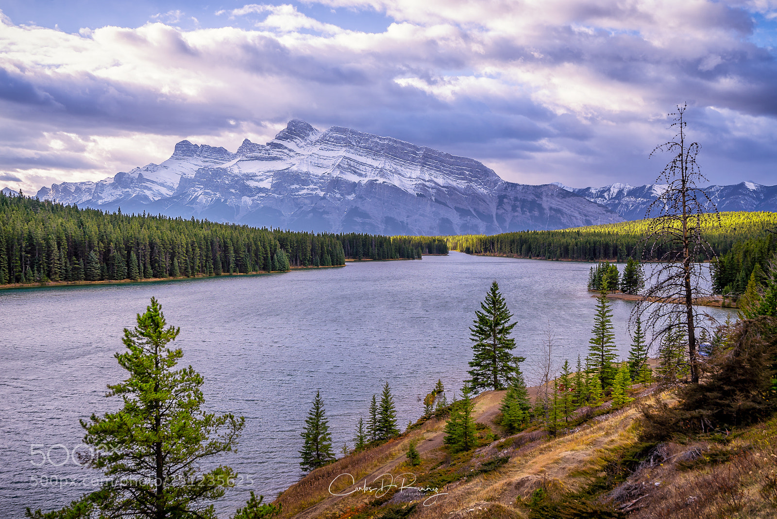 Sony a7S sample photo. 2 jack lake photography
