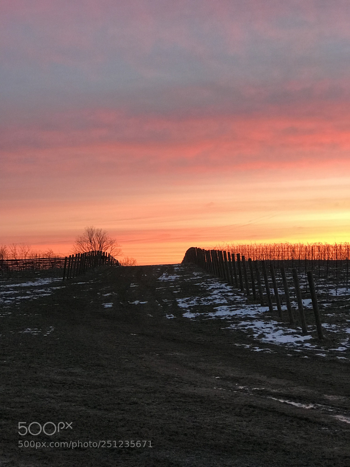Apple iPhone 7 Plus sample photo. Snowy spring sunrise photography