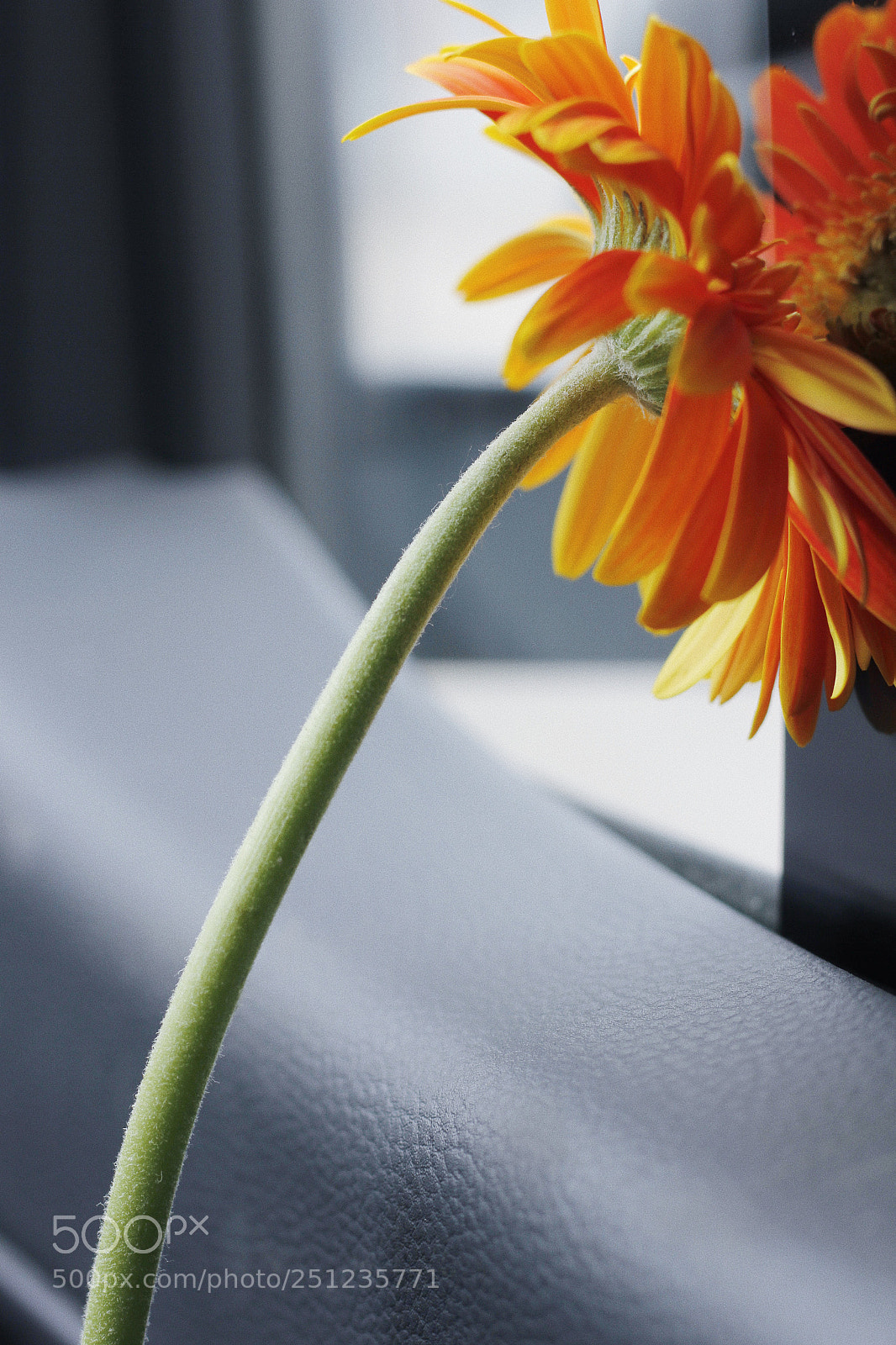 Canon EOS 60D sample photo. Untitled photography