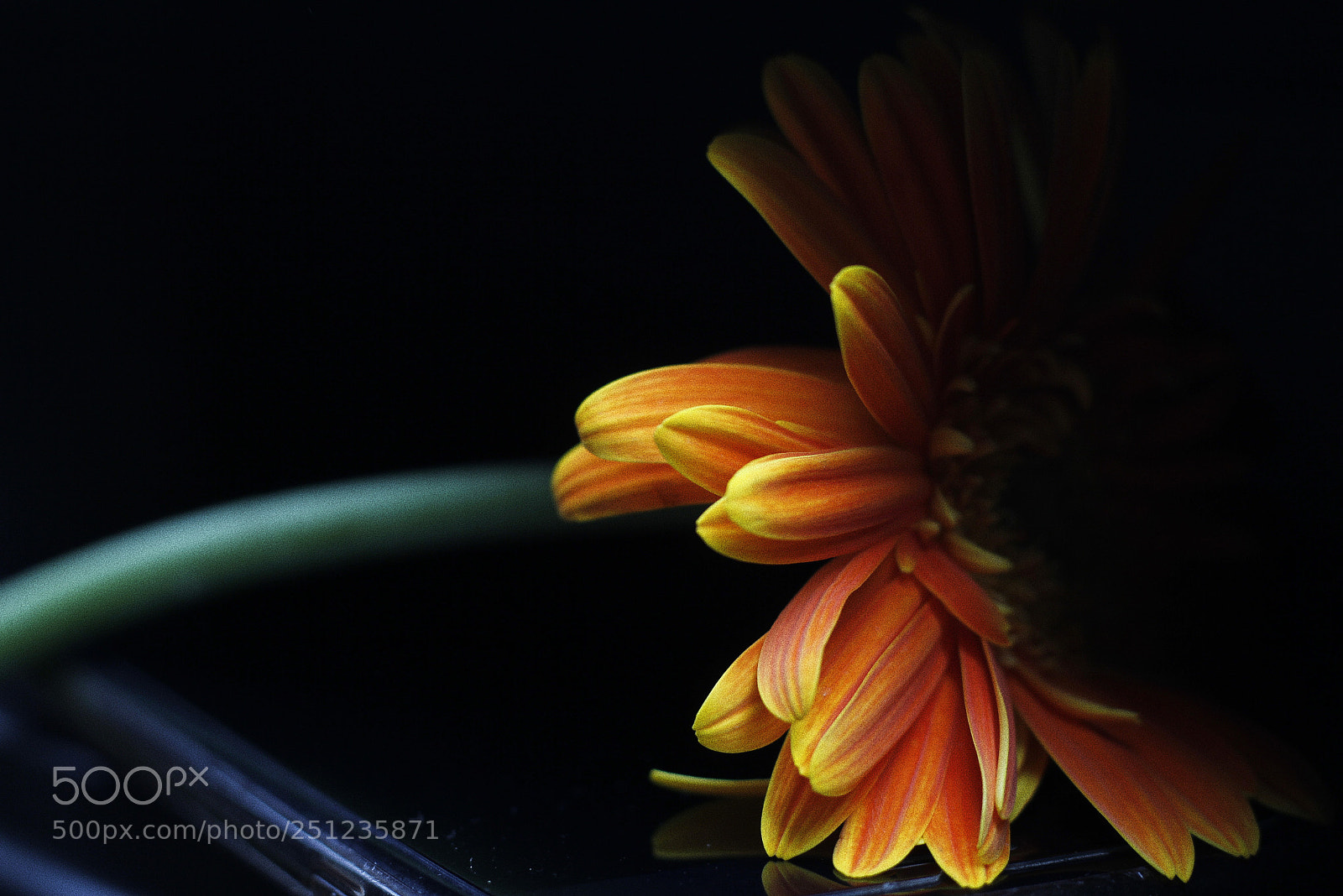 Canon EOS 60D sample photo. Untitled photography