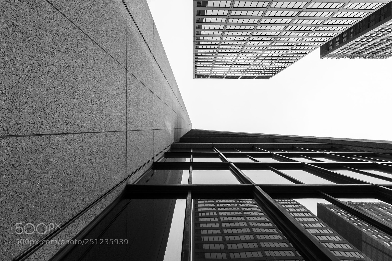 Nikon D7200 sample photo. Verticals photography