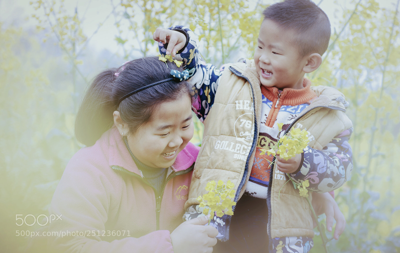 Nikon D800 sample photo. Untitled photography