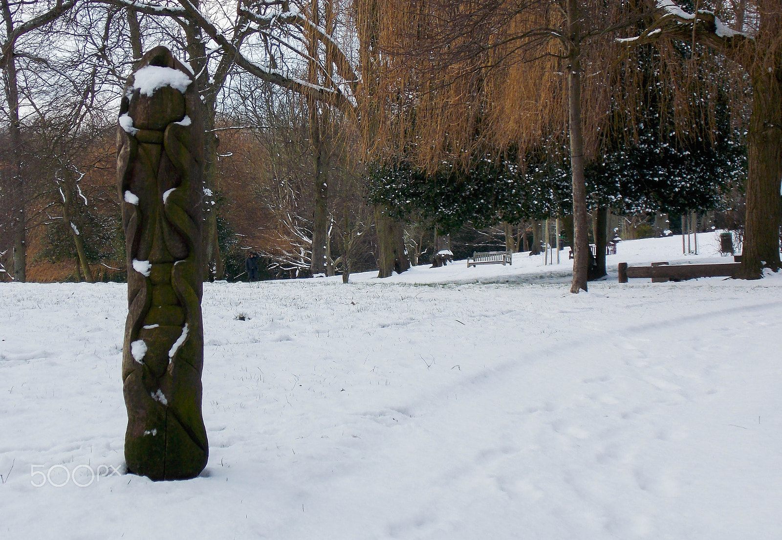 Nikon COOLPIX L320 sample photo. Snowy totem pole photography