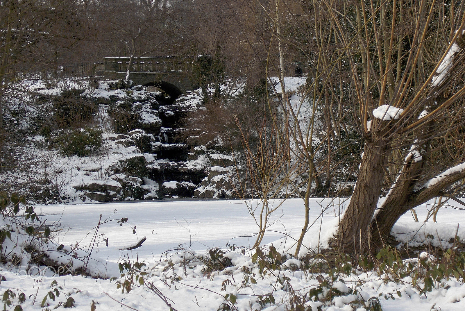 Nikon COOLPIX L320 sample photo. Frozen lakes and bridges photography