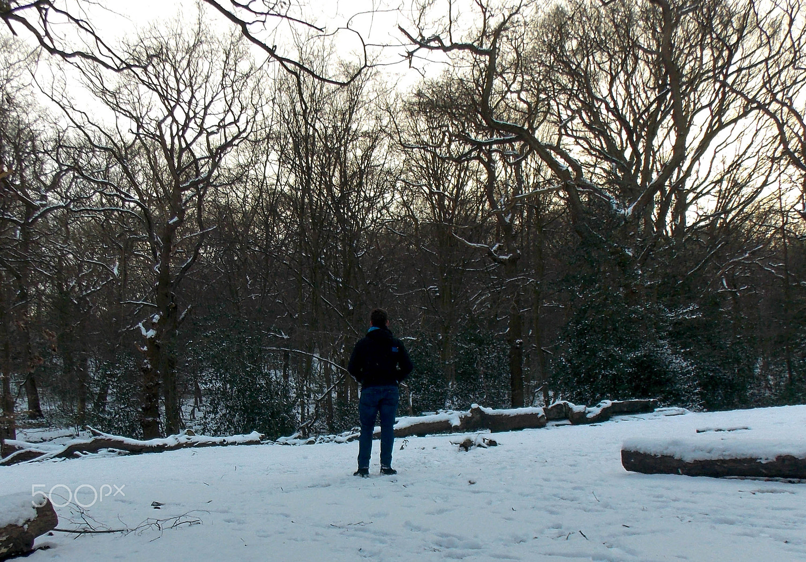 Nikon COOLPIX L320 sample photo. Alone in a frozen wonderland photography