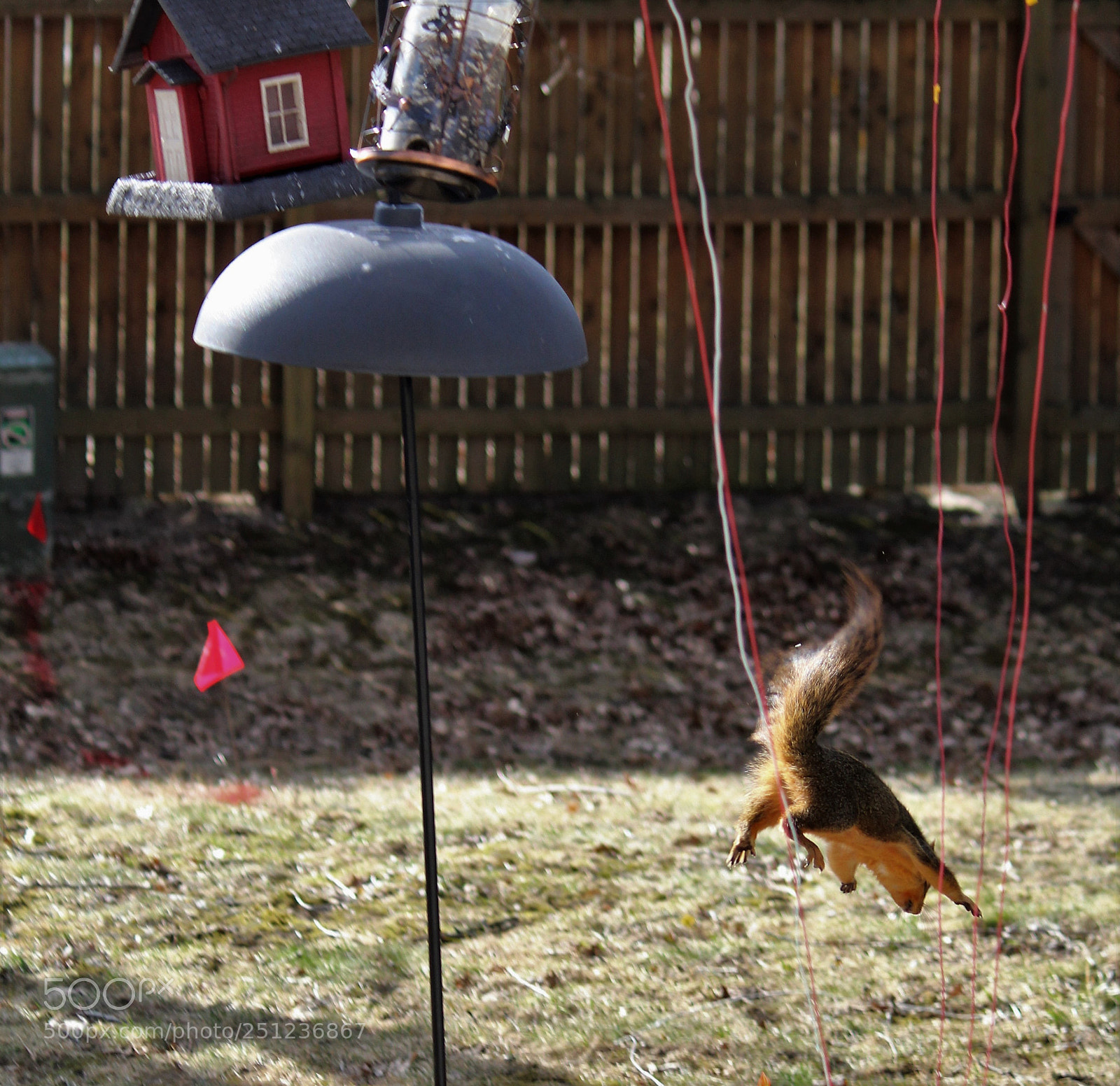 Canon EOS 600D (Rebel EOS T3i / EOS Kiss X5) sample photo. Escape! photography