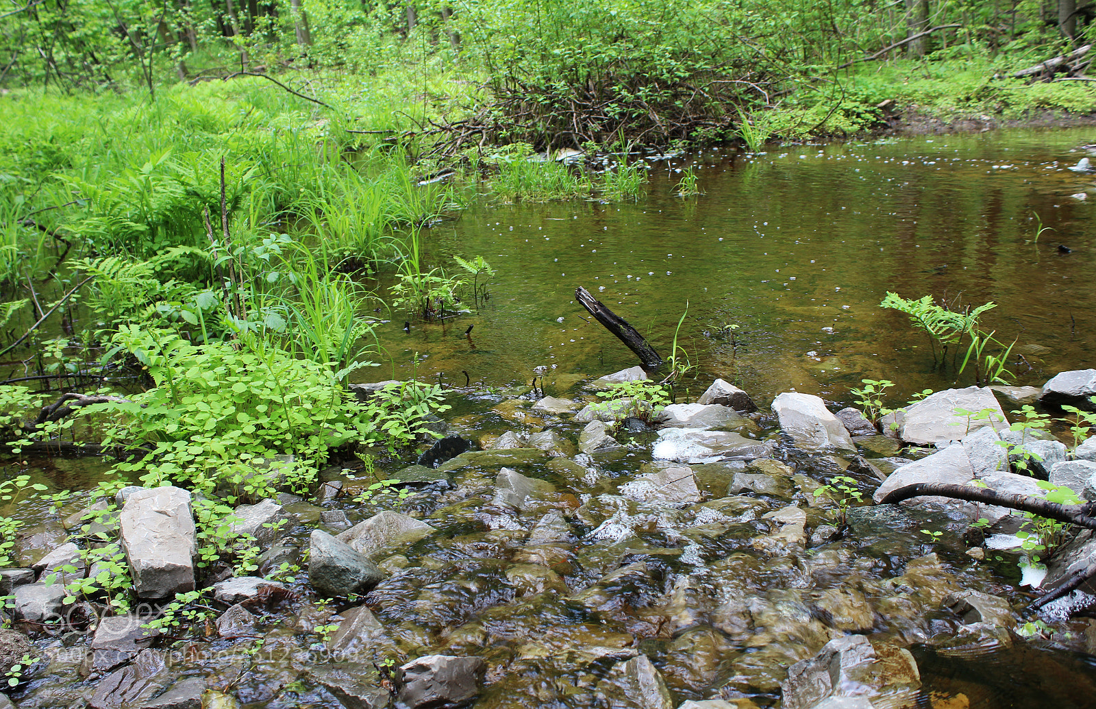 Canon EOS 1200D (EOS Rebel T5 / EOS Kiss X70 / EOS Hi) sample photo. River rocks photography