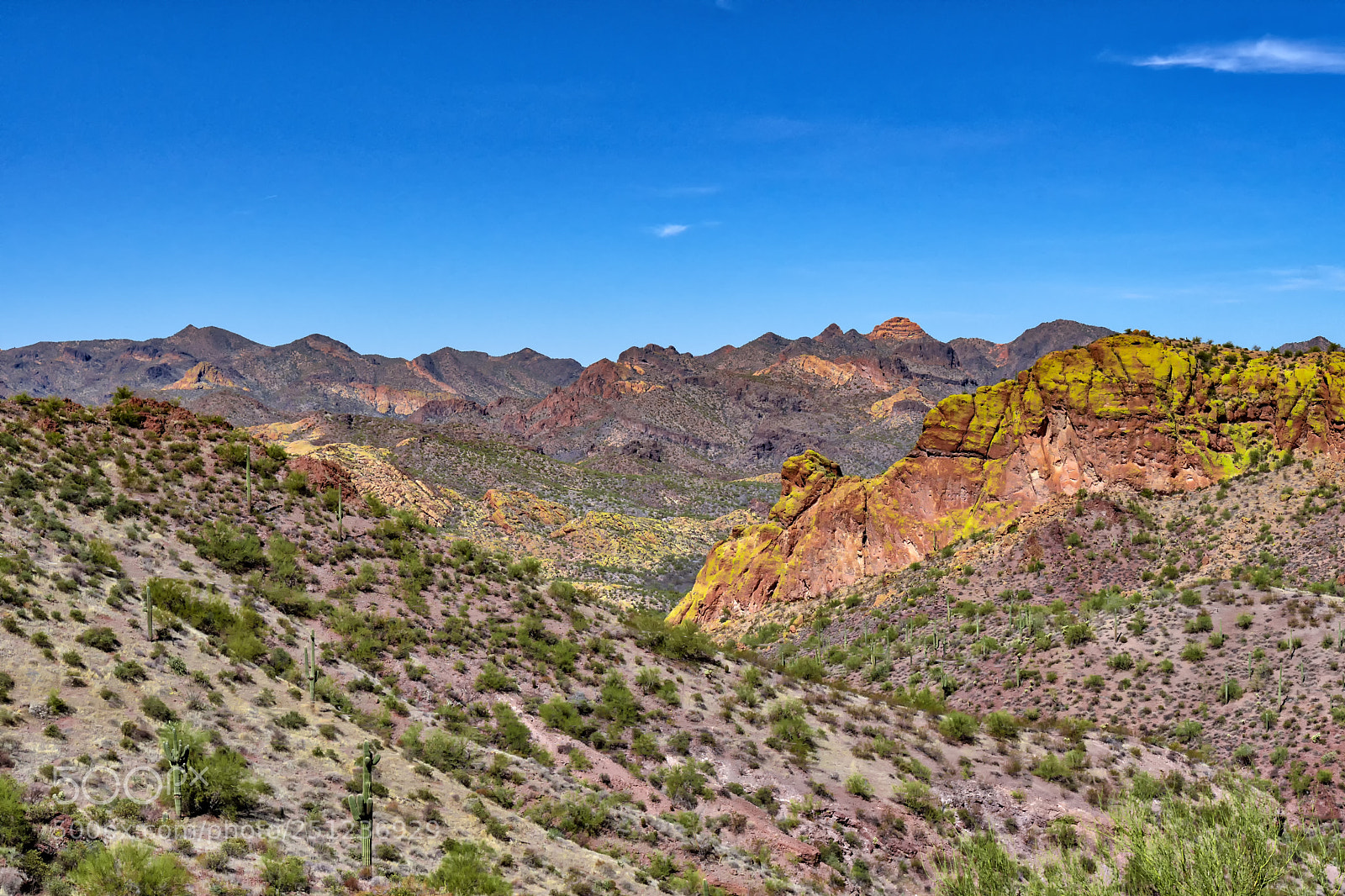 Nikon D500 sample photo. Wide open... photography