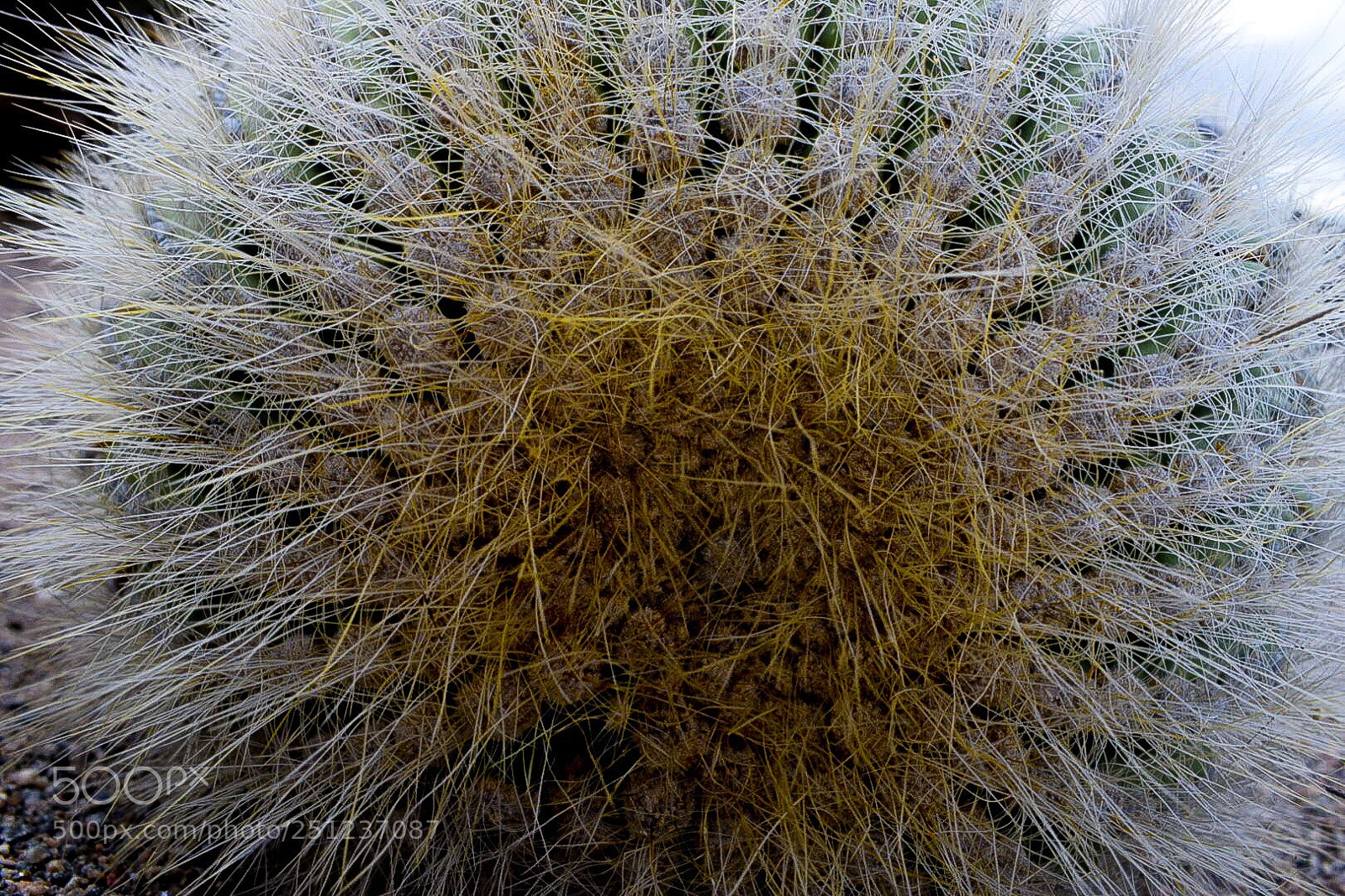 Nikon D5300 sample photo. Untitled photography