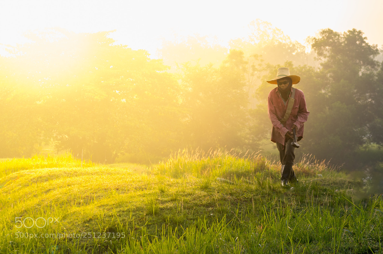 Pentax KP sample photo. Walking worker photography