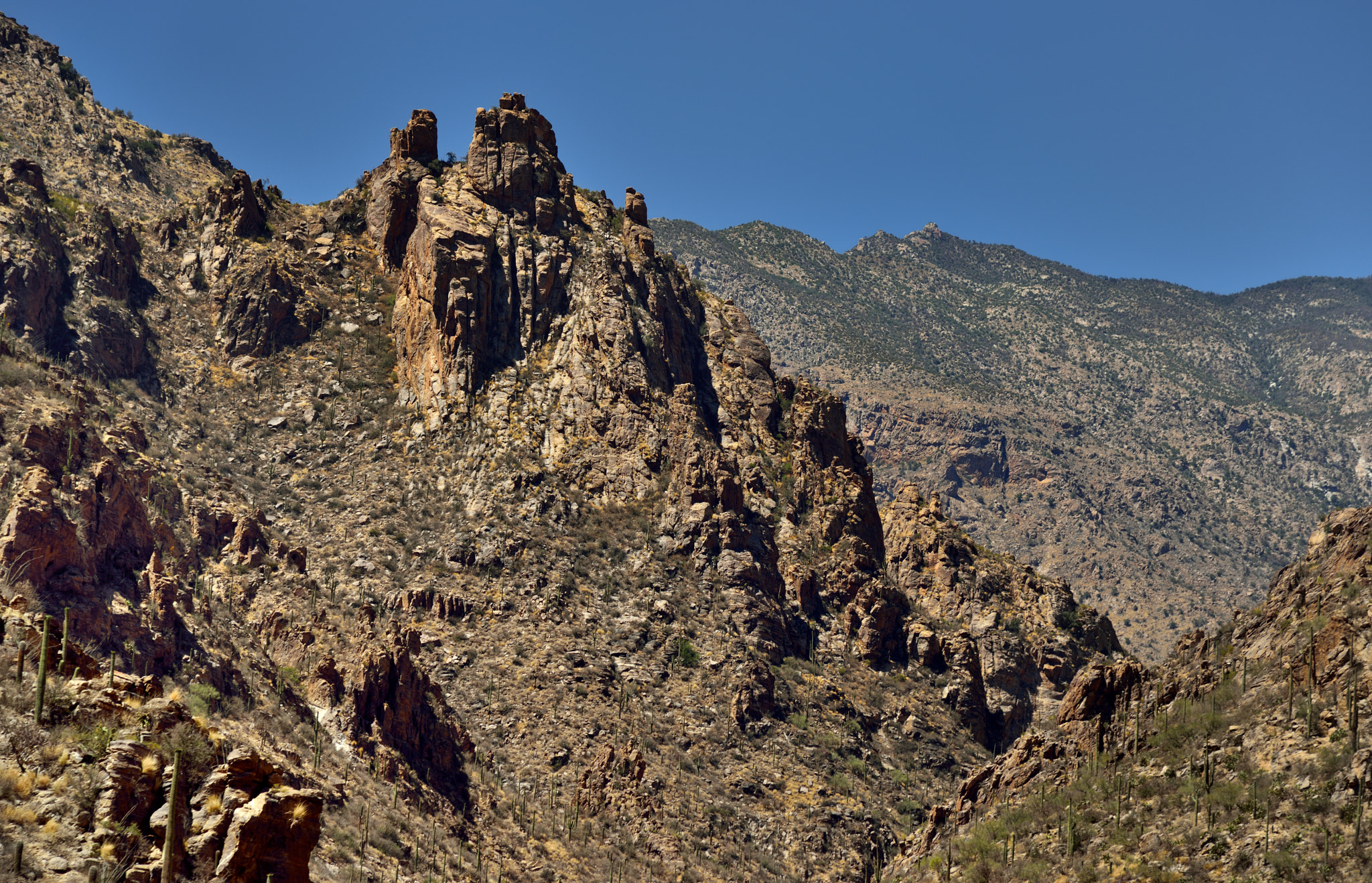 Nikon AF-S Nikkor 24-120mm F4G ED VR sample photo. Jagged peaks in sabino canyon photography