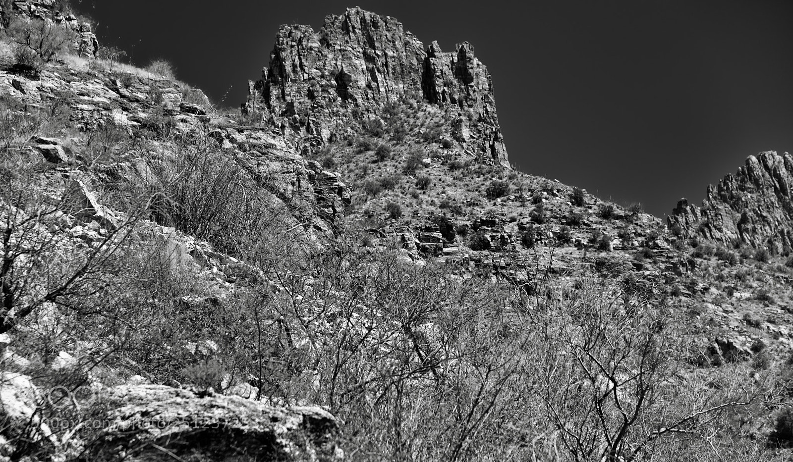 Nikon D800E sample photo. A different view and photography