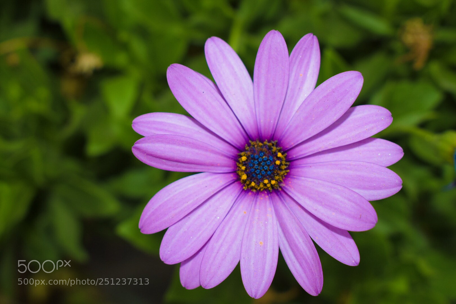 Nikon D5300 sample photo. Untitled photography