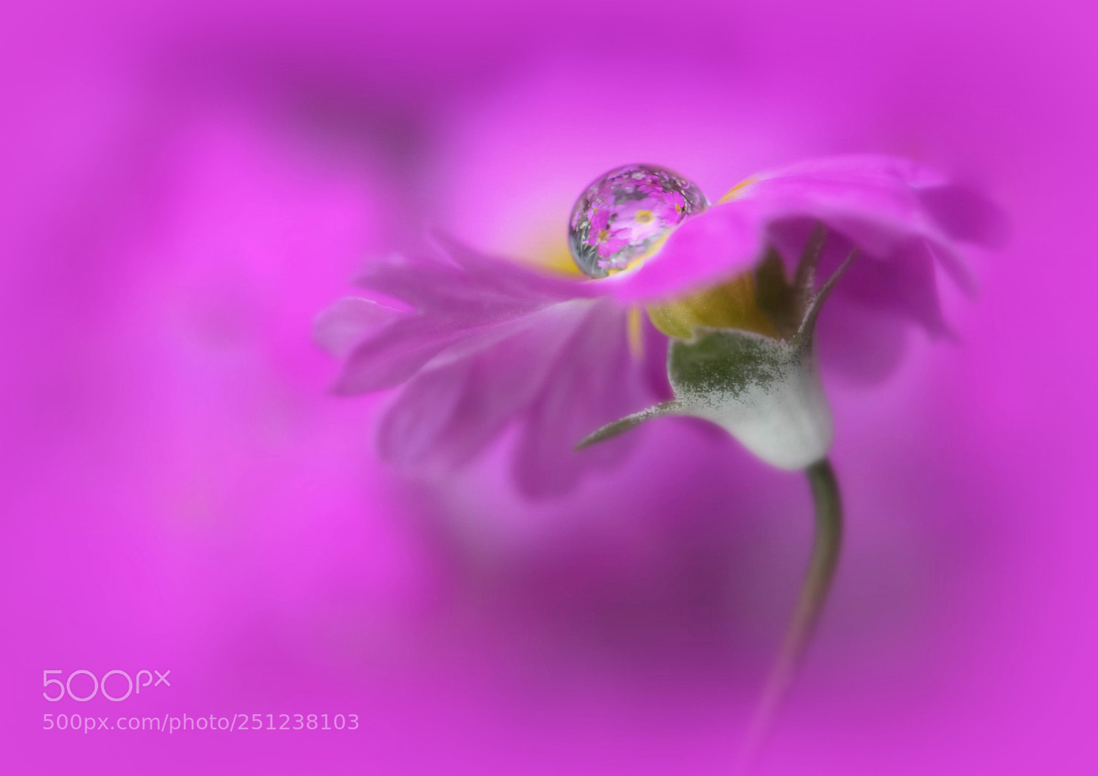 Canon EOS 7D sample photo. Beautiful drop photography