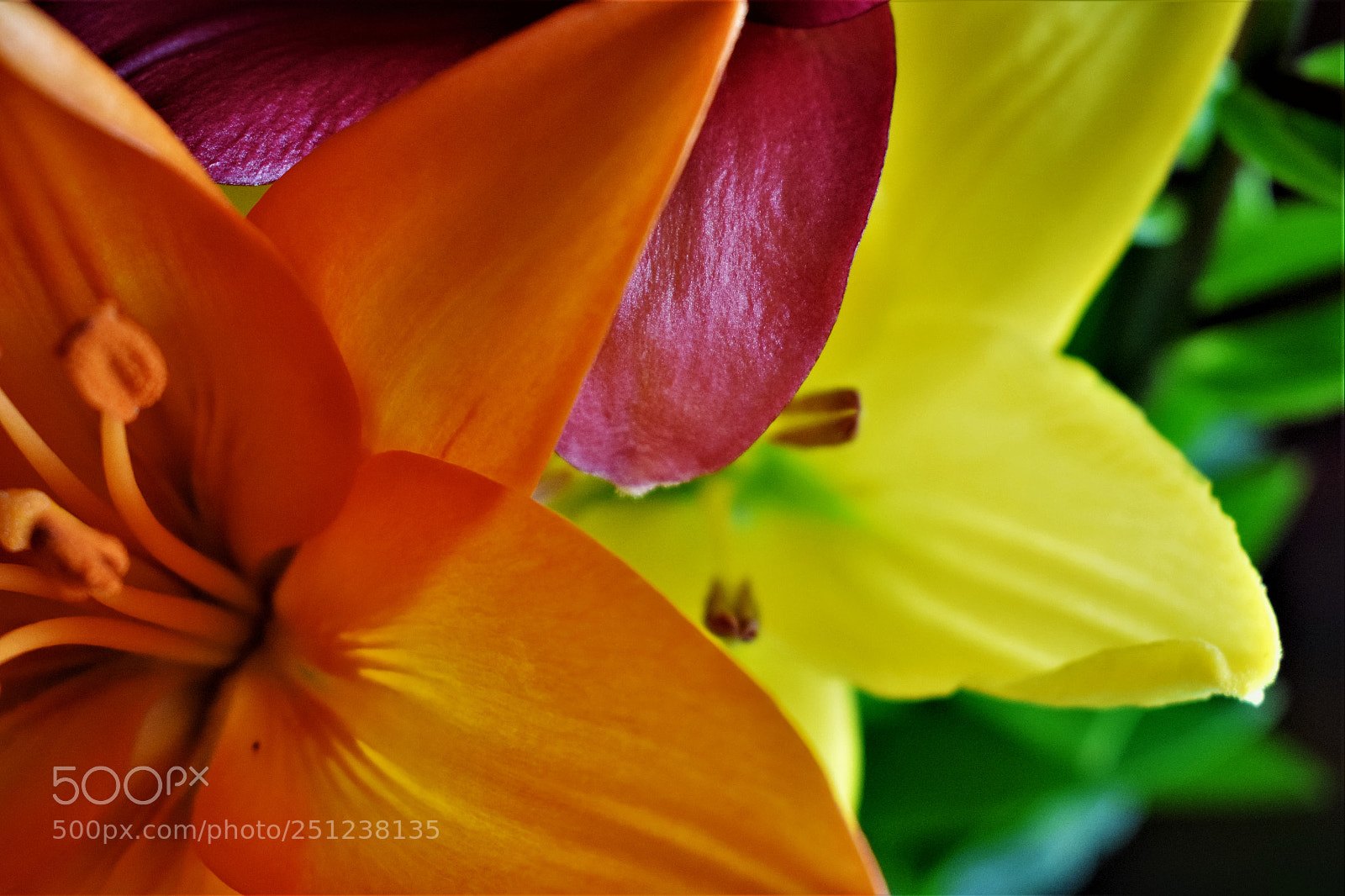 Nikon D5300 sample photo. 3d. photography
