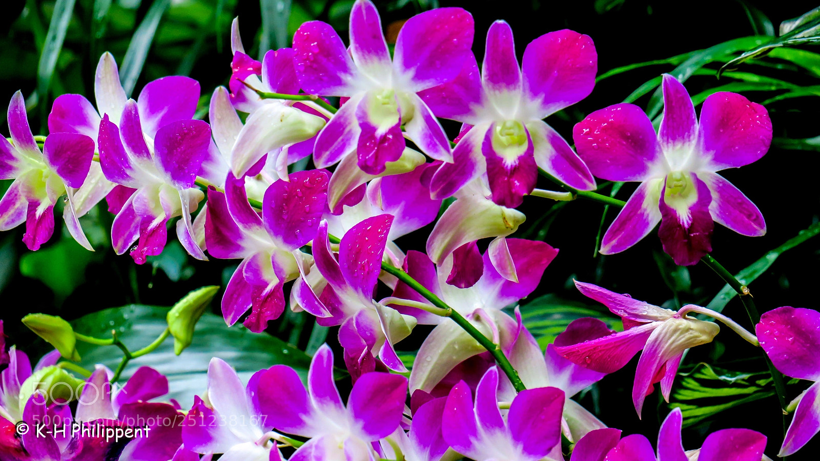 Canon PowerShot G3 X sample photo. Singapore republic of singapore photography