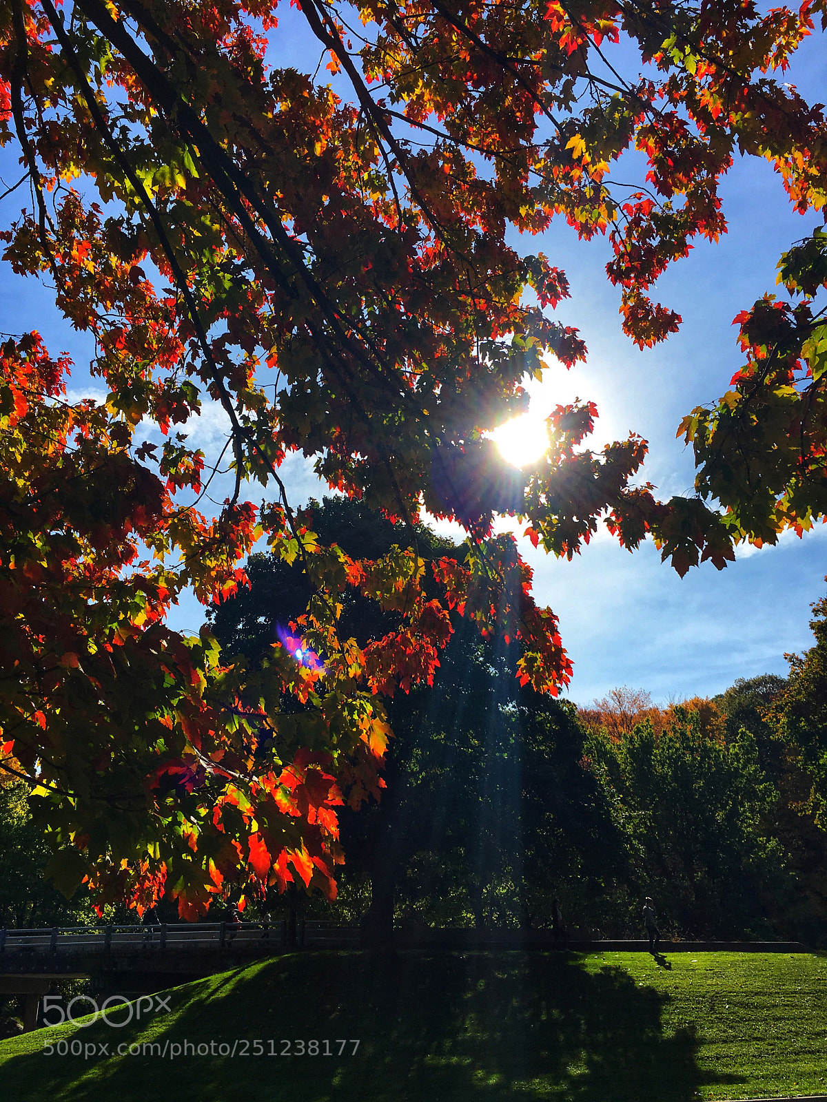 Apple iPhone 6s sample photo. Sun rays  photography