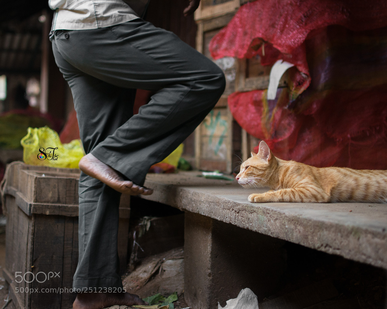 Nikon D7100 sample photo. Cautious photography