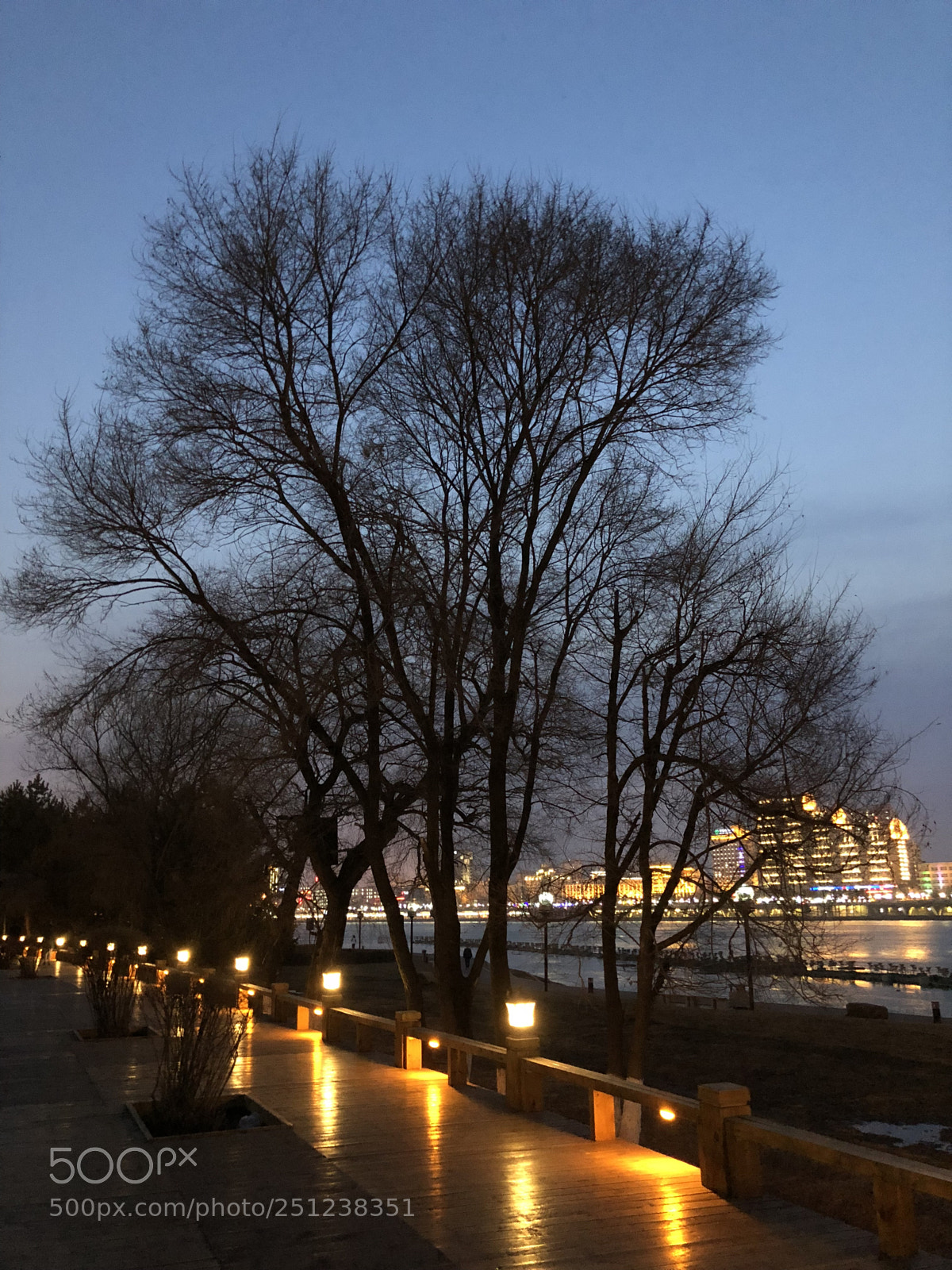 Apple iPhone X sample photo. Lamplight photography