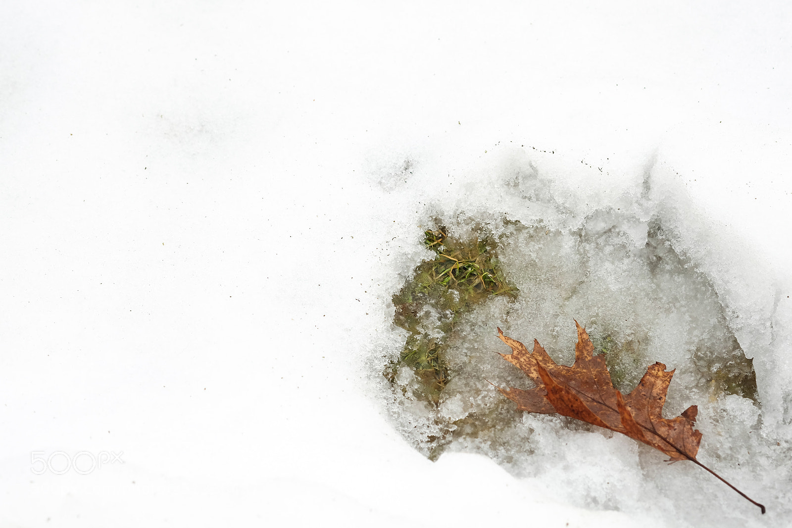 Fujifilm X-M1 sample photo. Stuck in snow photography