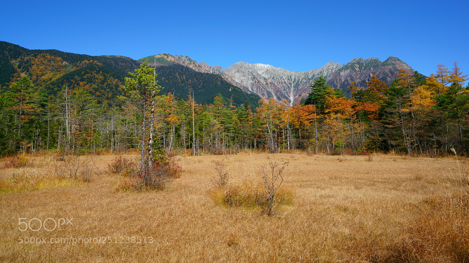 Sony a7R II sample photo. Kanikouchi photography