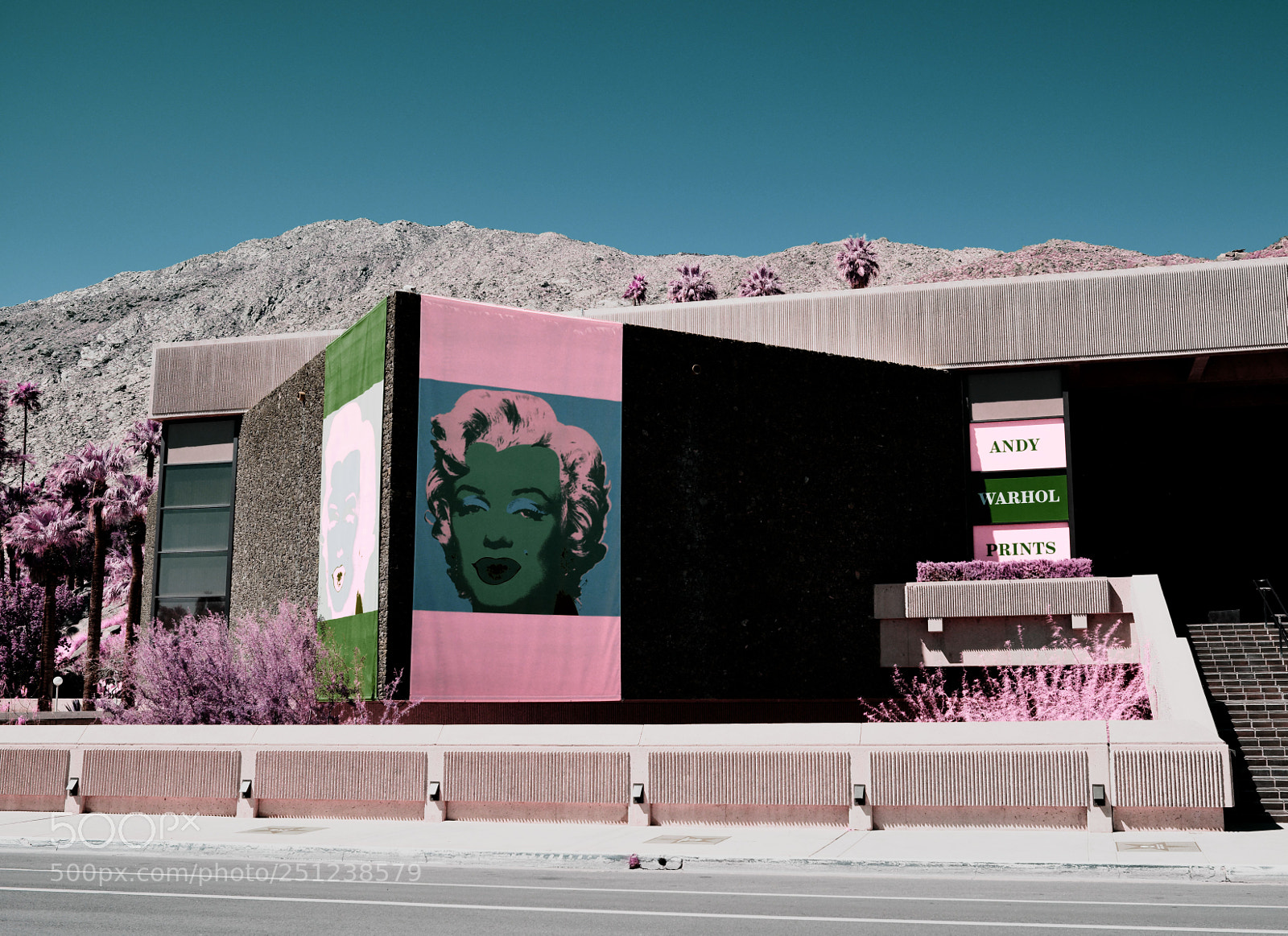 Nikon D800 sample photo. Marilyn in color photography