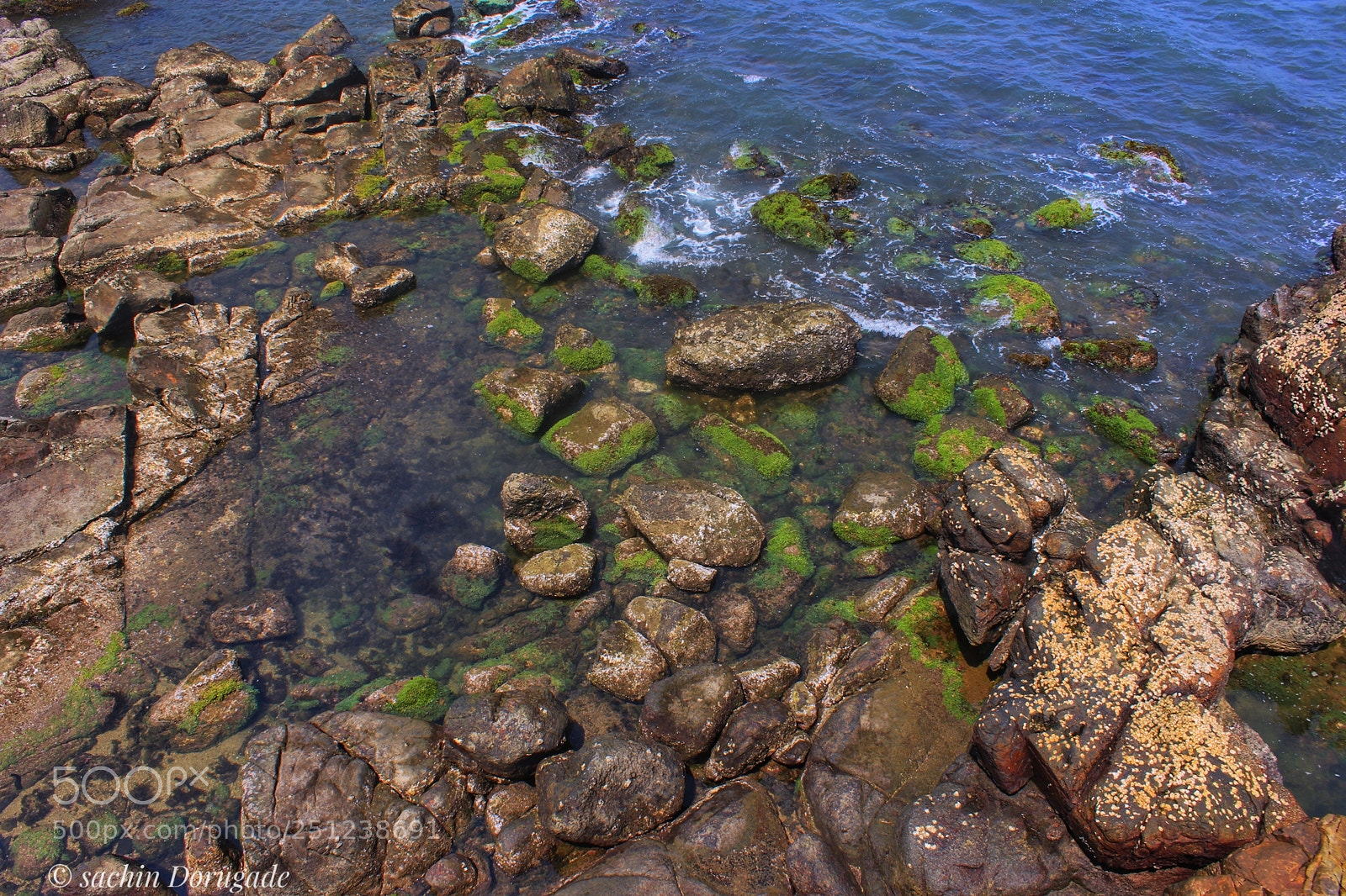 Canon EOS 700D (EOS Rebel T5i / EOS Kiss X7i) sample photo. Untitled photography