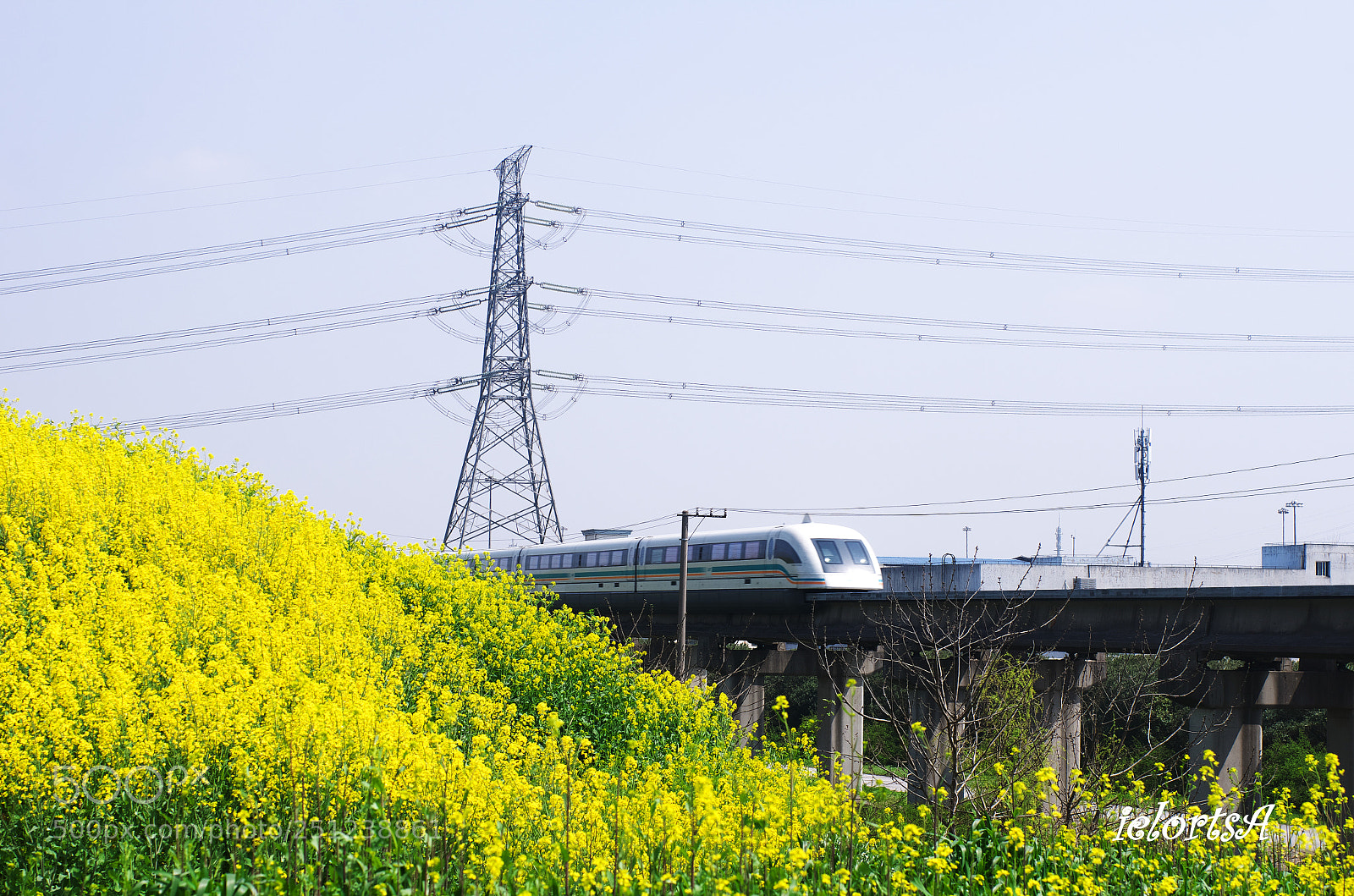 Pentax K-5 sample photo. Spring photography
