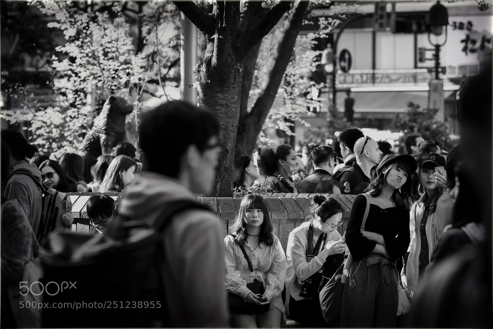 Nikon D810 sample photo. Girl waiting for something photography