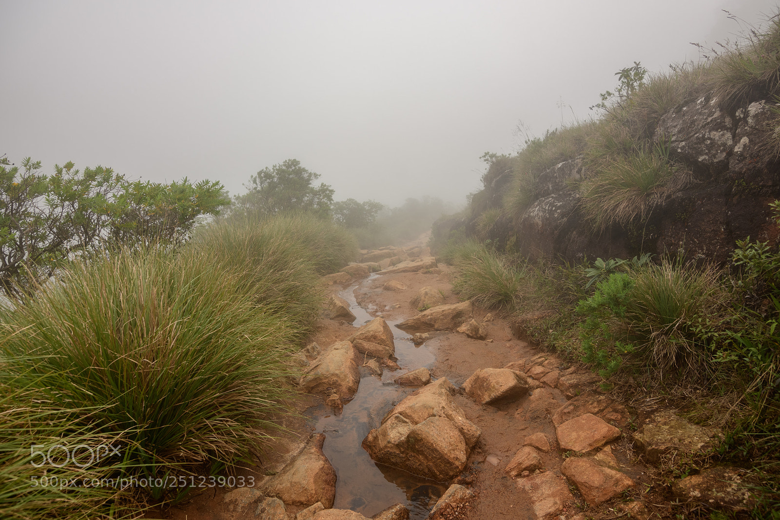 Nikon D7500 sample photo. World's end photography