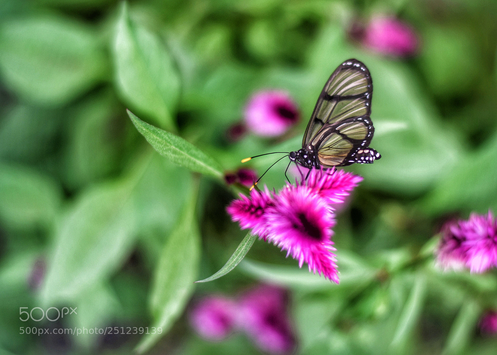Nikon D5300 sample photo. Untitled photography
