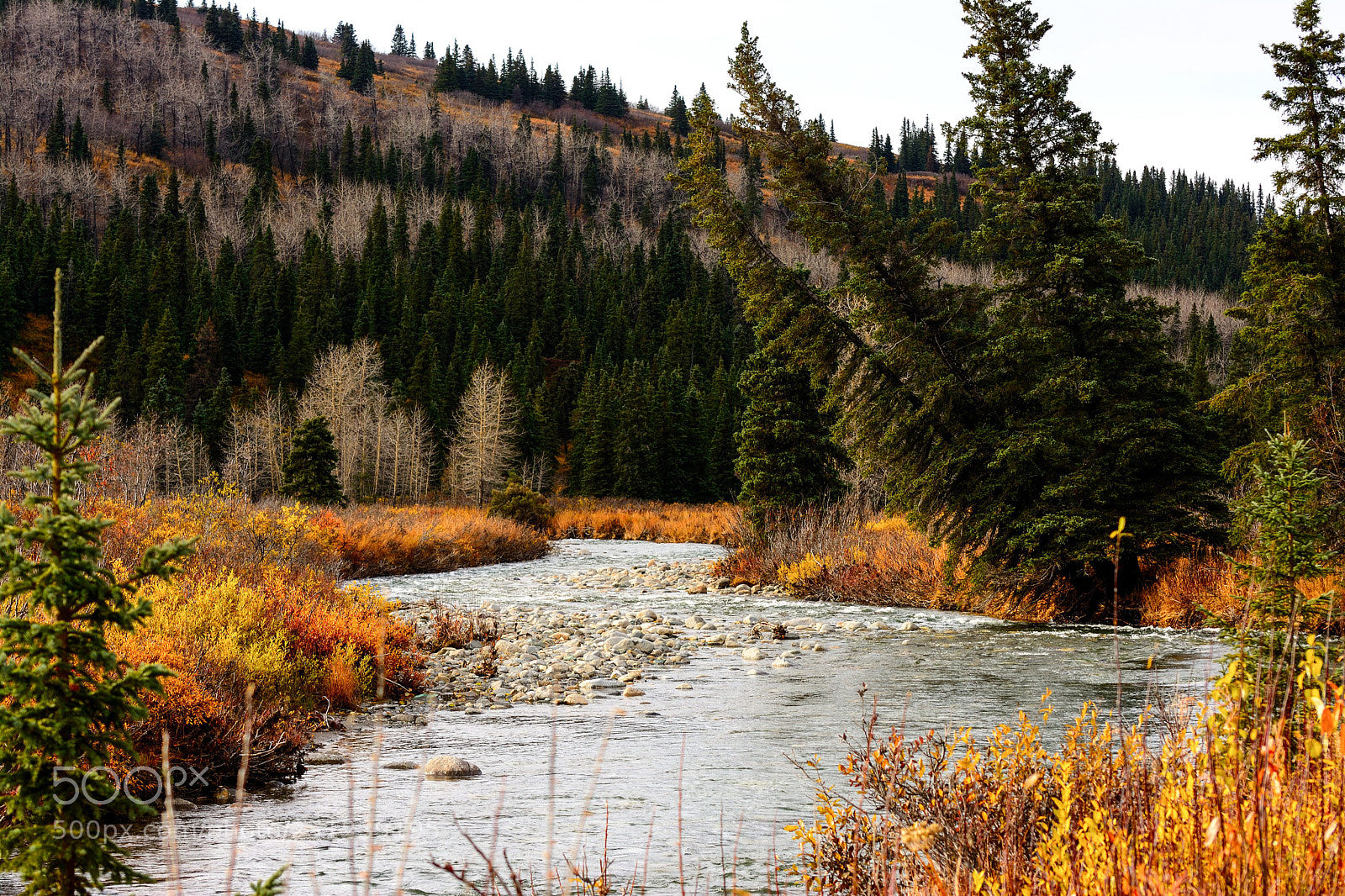 Nikon D7100 sample photo. Autumn delight photography