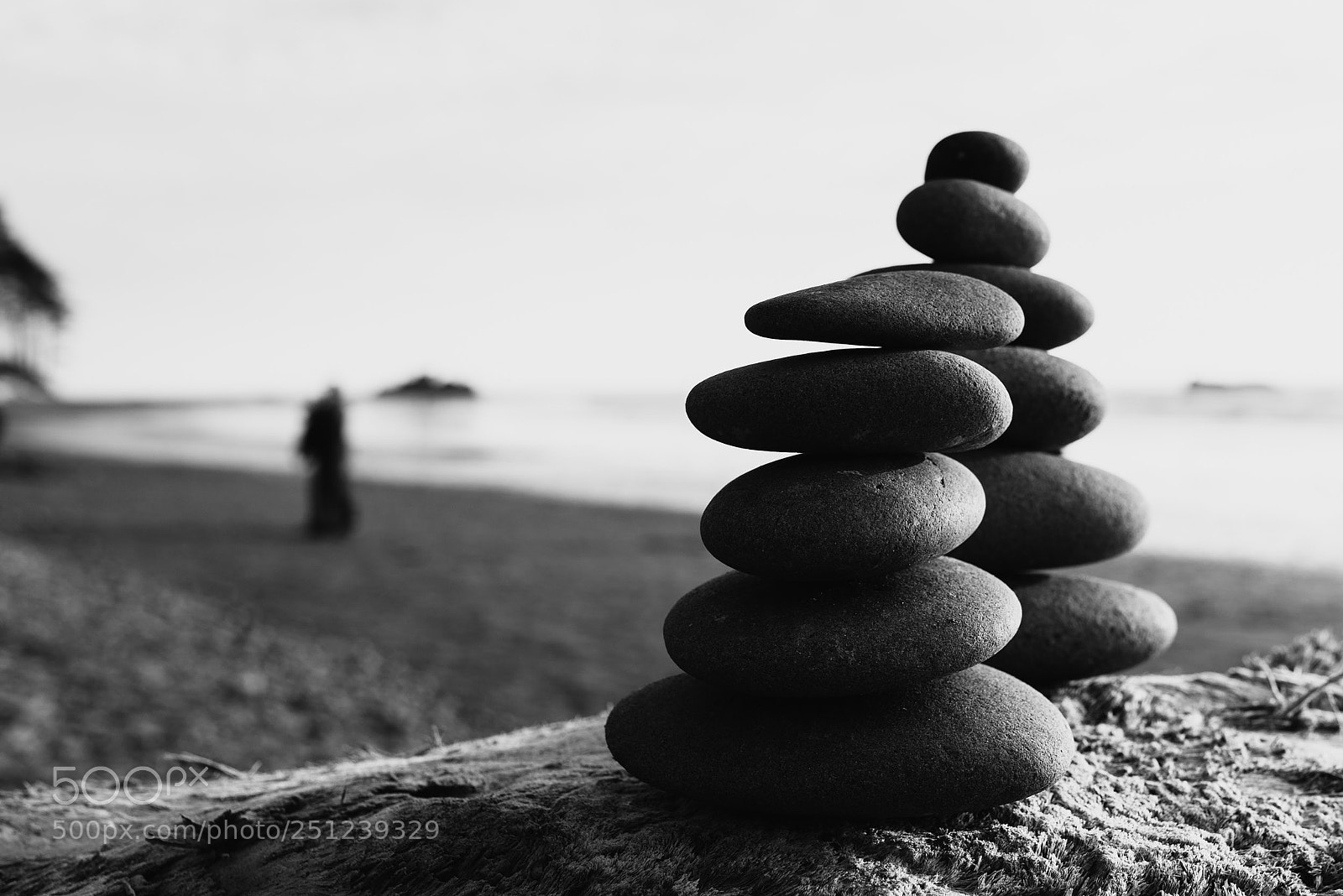 Nikon D600 sample photo. Ruby beach, wa photography