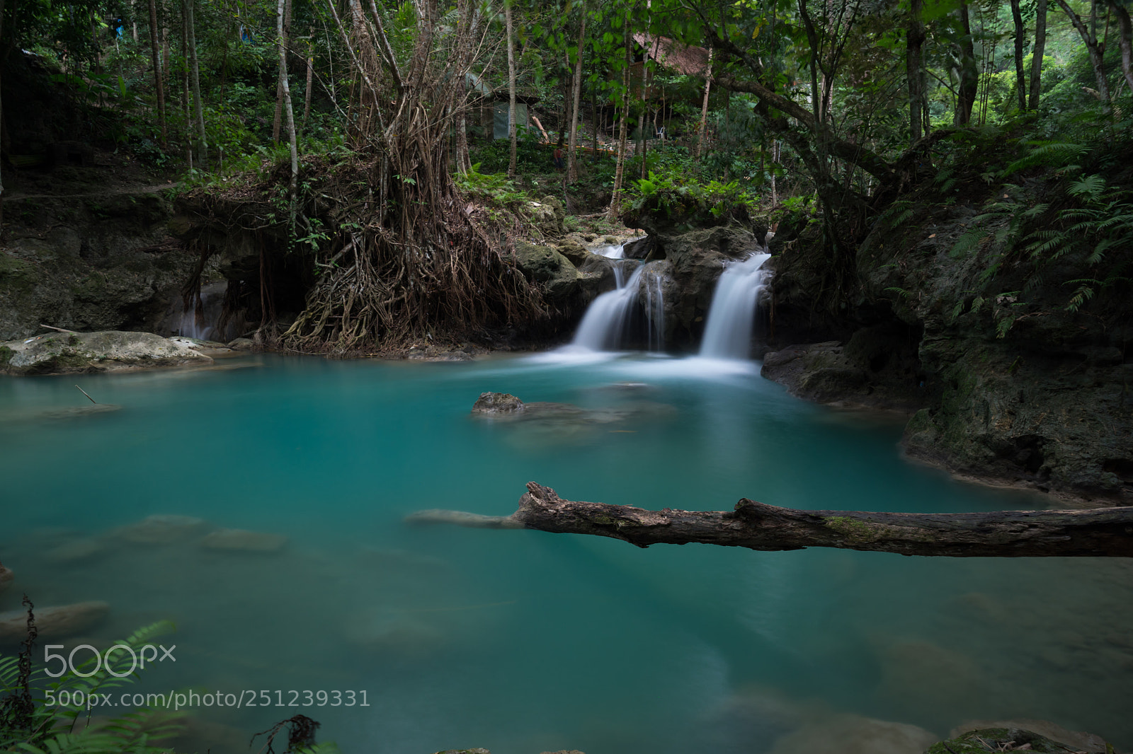 Sony a7 sample photo. Kawasan falls photography