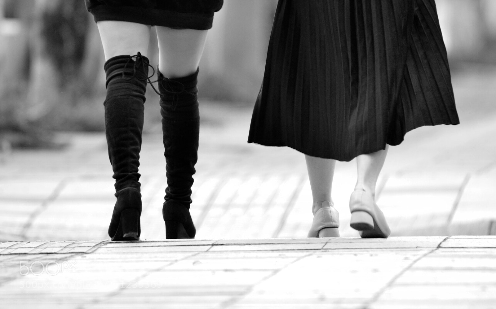 Nikon D800 sample photo. Untitled photography