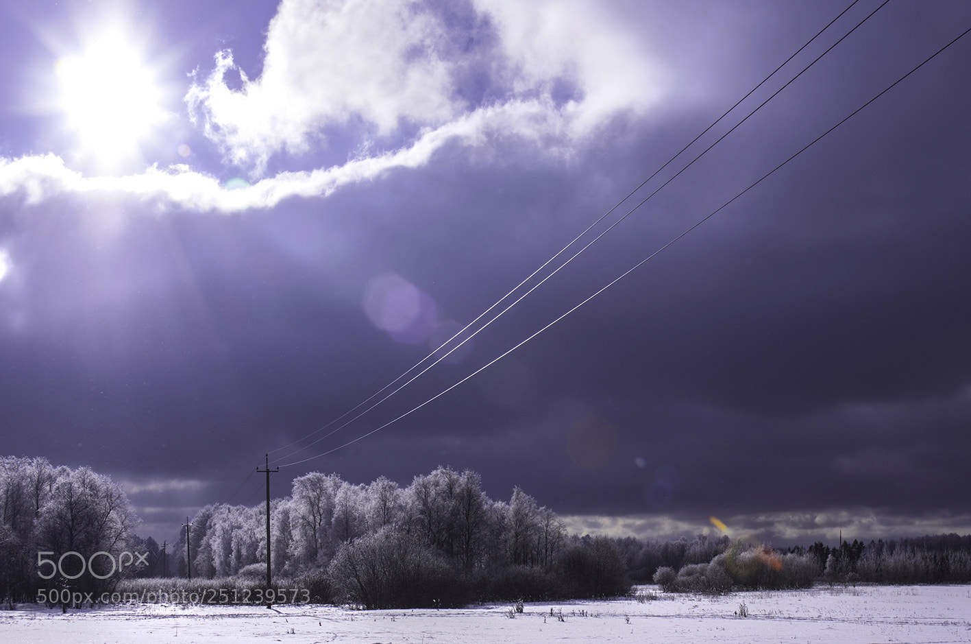 Pentax K-5 sample photo. Silvered hoarfrost photography